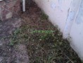 /album/kepgaleria-vecses-kert-takaritas-/img-20140310-073157-masolas-jpg/